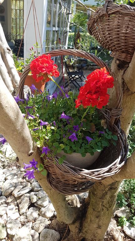 Holiday House Altea Banjole Bagian luar foto